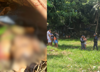 Entregador desaparecido é encontrado morto na Zona Oeste de Manaus