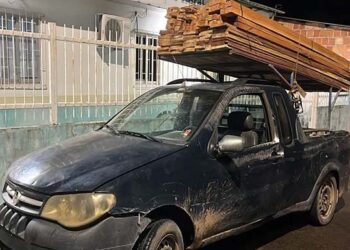 Jovem é preso transportando madeira ilegal no interior do AM