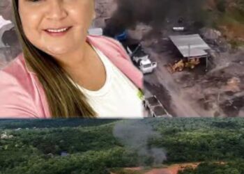 CRIME AMBIENTAL: Maior cartão postal de Presidente Figueiredo vira palco para crime ambiental; veja o vídeo