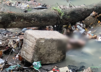 Corpo de homem desaparecido é encontrado por família dentro de igarapé em Manaus