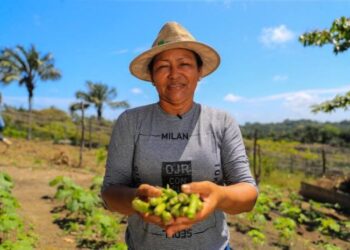Governo do Amazonas apoia agricultores que tiveram perdas durante a última estiagem
