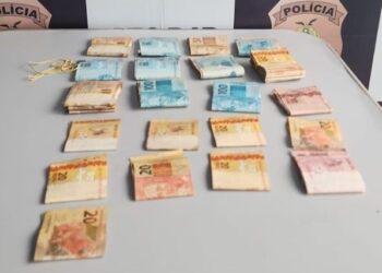 Servidora pública desvia mais de R$ 11 mil de instituto agropecuário no AM