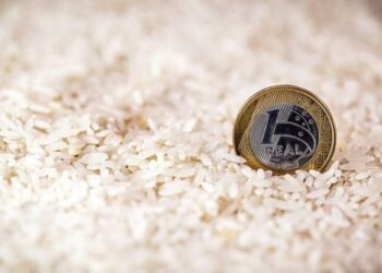 Governo Lula anula leilão que comprou 263 mil toneladas de arroz