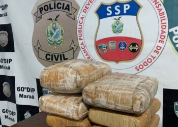 Mulher é presa ao tentar viajar com 11 Kg de maconha no Amazonas