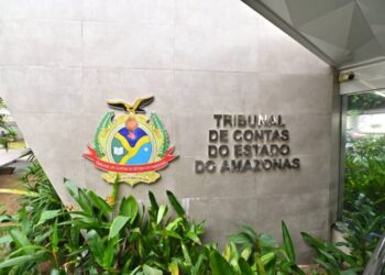 TCE-AM lança Consulta Pública sobre Planejamento Estratégico