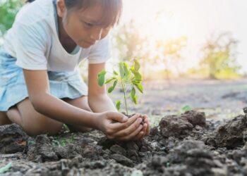 Projeto prevê o plantio de uma árvore para cada nascimento de criança no Brasil