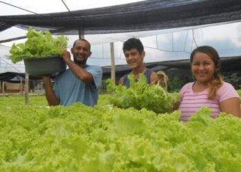 Governo Presente: Idam leva curso ‘Hortas em Pequenos Espaços’ à ação de sábado, na Compensa