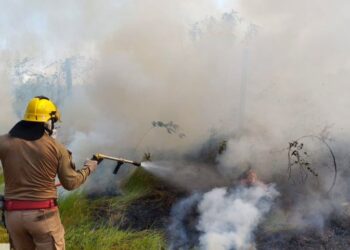 Incêndio atinge área de vegetação perto do aeroporto de Manicoré