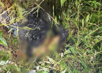 Pernas humanas são encontradas em saco de lixo no Tarumã, em Manaus