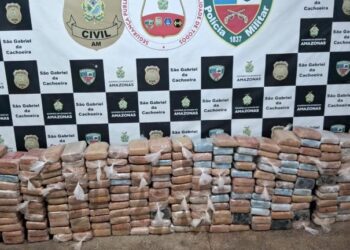 Narcotráfico perde R$ 392 milhões com apreensão de 10 toneladas de drogas no AM