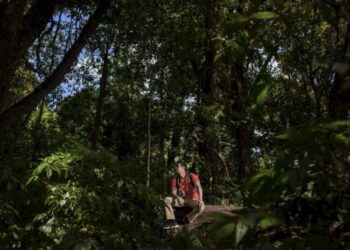 Acaba nesta quarta-feira as inscrições para programa que busca soluções inovadoras em prol da Amazônia