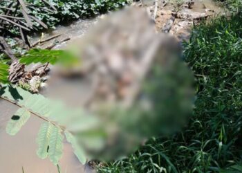 Ossada humana é encontrada em igarapé na Zona Leste de Manaus