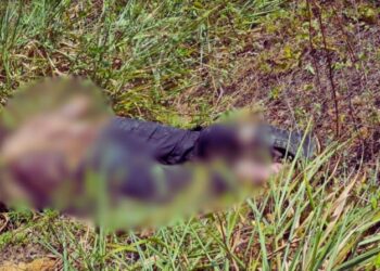 Corpo em decomposição é achado em área de mata no Tarumã