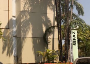 Amazonas se destaca no Ranking de Competitividade: 1º lugar no Norte e Nordeste
