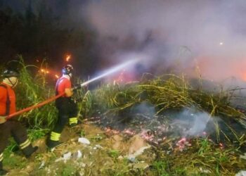 Bombeiros combatem 14 incêndios em áreas de vegetação em Manaus nas últimas 24 horas