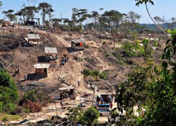 Nova ocupação irregular é desmobilizada na Zona Leste de Manaus
