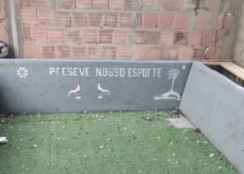 Rinha de galos é desarticulada com cinco presos e 55 aves apreendidas em Manaus