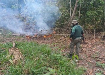 Homem é preso por provocar incêndio em área de mata em Humaitá