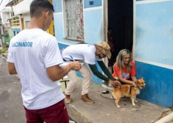 Prefeitura de Manaus amplia pontos fixos de vacinação antirrábica