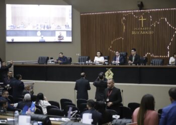 Aleam aprova ajuste no ICMS e criação de cargos em órgãos estaduais