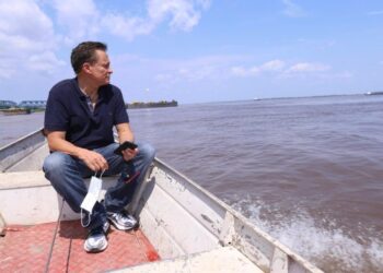 Lei estabelece diretrizes para manejo sustentável de frutos florestais e derivados no Amazonas
