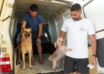 Manaus terá novo ponto de vacinação antirrábica na Zona Norte