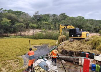 Prefeitura de Manaus realiza limpeza e revitalização em comunidades ribeirinhas e bairros da capital