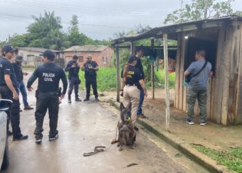 Amazonas registra queda de 33% nos crimes de latrocínio em 2024