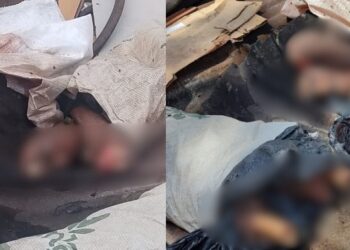 Corpo esquartejado é encontrado em lixão de ramal em Manaus