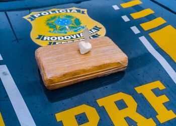 Mulheres são presas com carga de cocaína em moto na BR-319