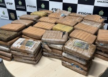 Segunda apreensão em menos de 24 horas: PC-AM encontra 152 tabletes de maconha tipo skunk em imóvel no Grande Vitória