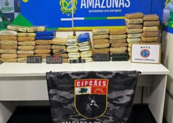 Drogas avaliadas em R$ 2,4 milhões são apreendidas em Coari