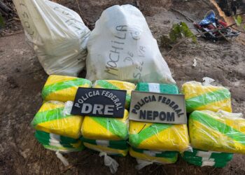PF apreende 100 kg de cocaína em pista de pouso clandestina no interior do AM