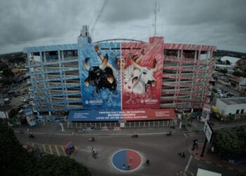 Festival de Parintins 2025: reforçadas ações de segurança no Bumbódromo com Delegacia do Turista