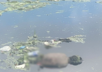 Corpo é encontrado boiando em igarapé na Zona Sul de Manaus