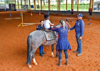 CAS analisa inclusão da equoterapia no SUS nesta quarta (2)