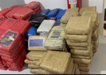 Dois homens são presos com 250 kg de skunk dentro de caminhão em Manaus