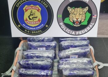 Mulher é presa com mais de 13kg de maconha no Aeroporto de Manaus