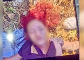 Mulher é encontrada morta e seminua em área de mata na Zona Norte de Manaus