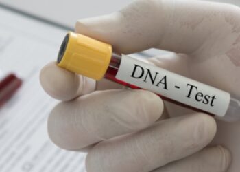 AM lança programa com 2,5 mil testes de DNA gratuitos para reconhecimento de paternidade