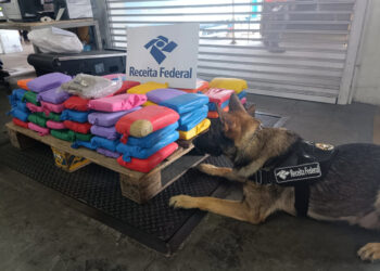 Receita Federal intercepta carga com 80 tabletes de skunk no terminal de cargas do Aeroporto de Manaus