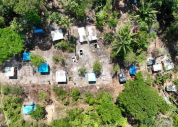 Nove pessoas são indiciadas por crimes ambientais e associação criminosa em Manaus
