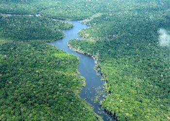 Agosto: focos de calor no Amazonas caem ao nível mais baixo desde 2011 e desmatamento diminui