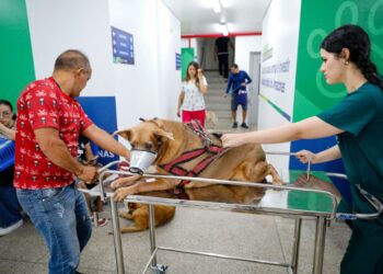 Homem é preso por agredir companheira de 19 anos no interior do AM