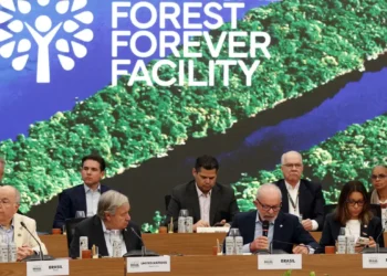 Lula lança em Belém fundo para preservação de florestas tropicais