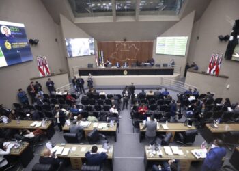 Aleam reforça rede de proteção à infância com criação de Procuradoria e leis de combate à violência