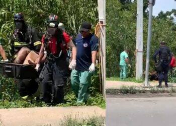 Mulher é encontrada morta em área de mata na Ponta Negra, em Manaus