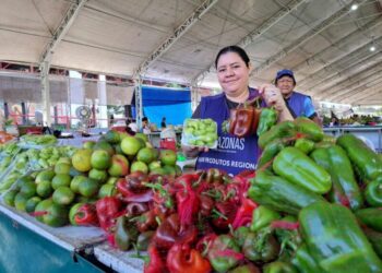 Feira de Produtos Regionais: ADS divulga programação desta semana