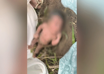 Bebê é abandonada em área de formigueiro e mobiliza população