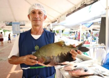 Feirão do Pescado da ADS: edição especial deve comercializar cerca de 50 toneladas de peixe em dois dias